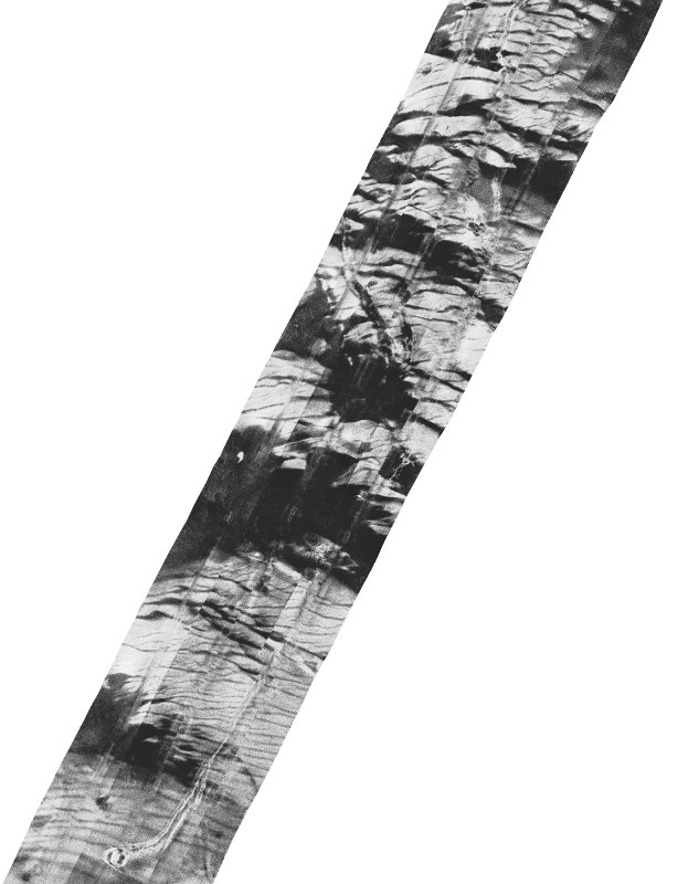 Sidescan Sonar Data - Mosaic