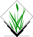 GRASS Logo